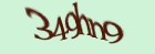 Включите картинки в браузере