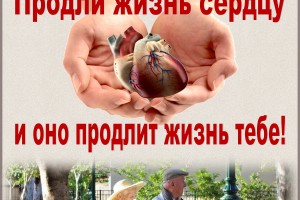 2 место — Широченко А.Р., ГВВ