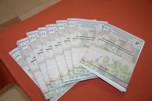 Региональная учебно-методическая конференция «Физическая реабилитация после травм опорно-двигательного аппарата»